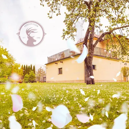 Flidr Gæstehus Poděbrady