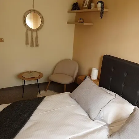 Flidr 波杰布拉迪