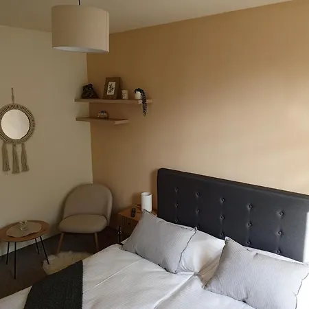 Gæstehus Flidr Poděbrady